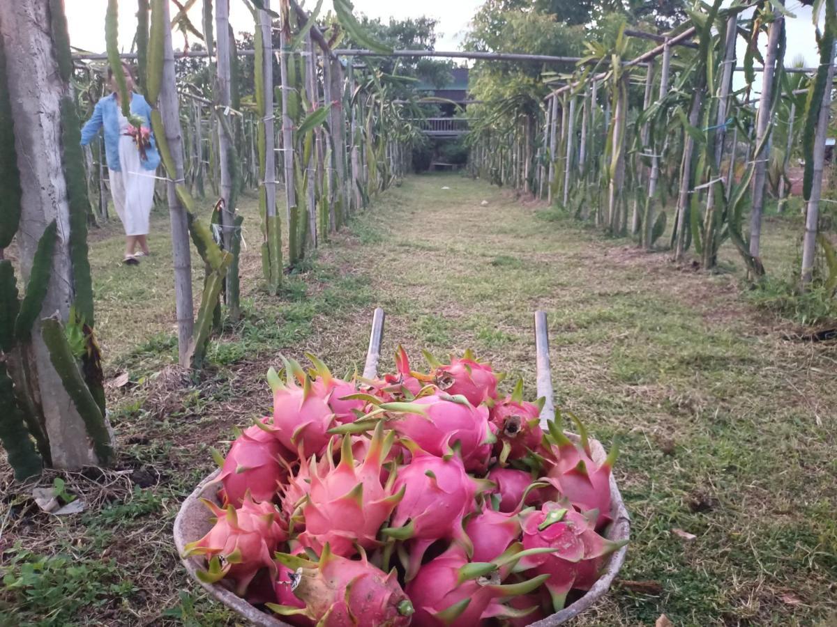 Vongkham Eco Resort 비엔티안 외부 사진